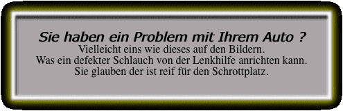 Fenster1