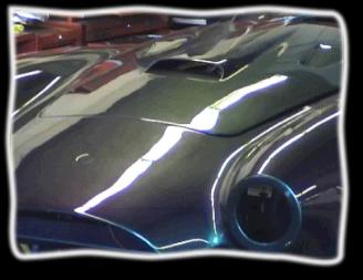 Cobra220
