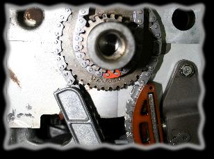 IMG5692