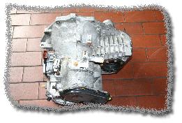 IMG6628